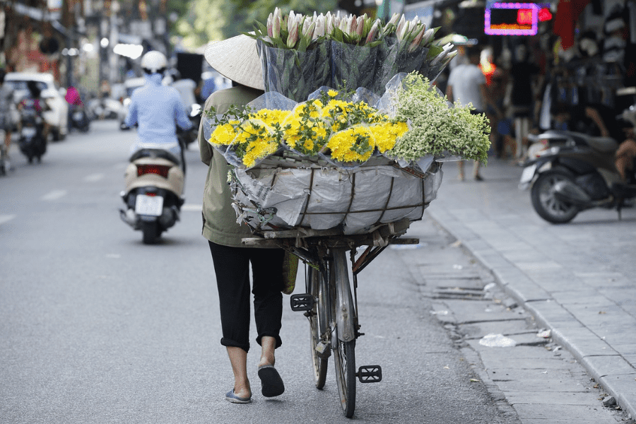 Image by Thangphan from Pixabay