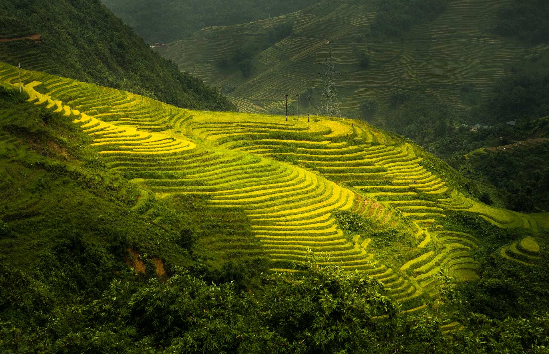 Image by trinhxuandao from Pixabay