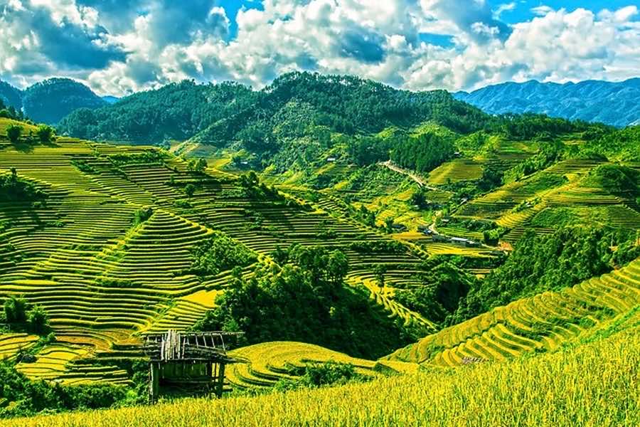 Mu Cang Chai overview