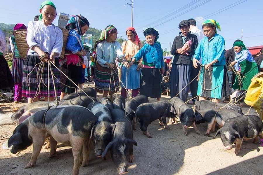 vietnam off the beaten track