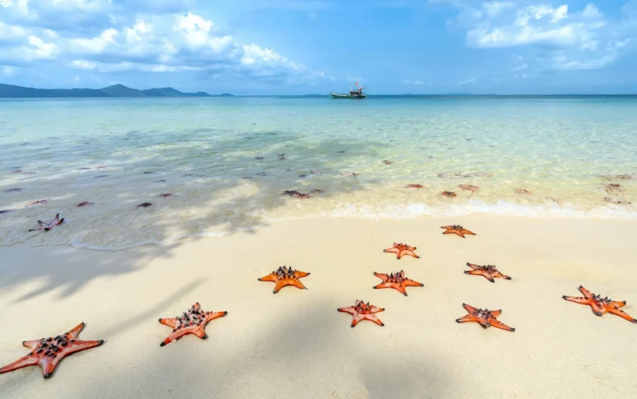 Vietnam with Phu Quoc 13 Days - Absolute Asia Travel