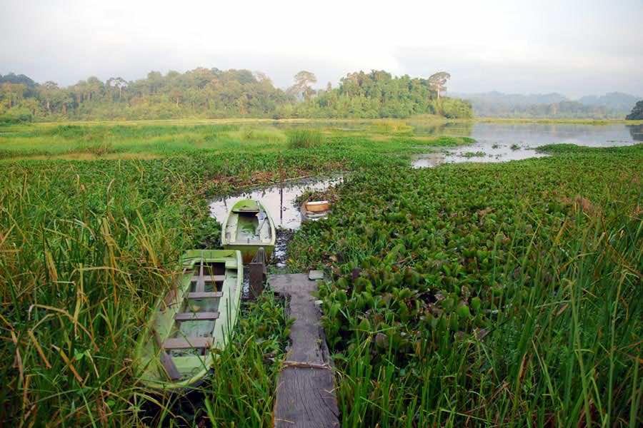 nam cat tien national park
