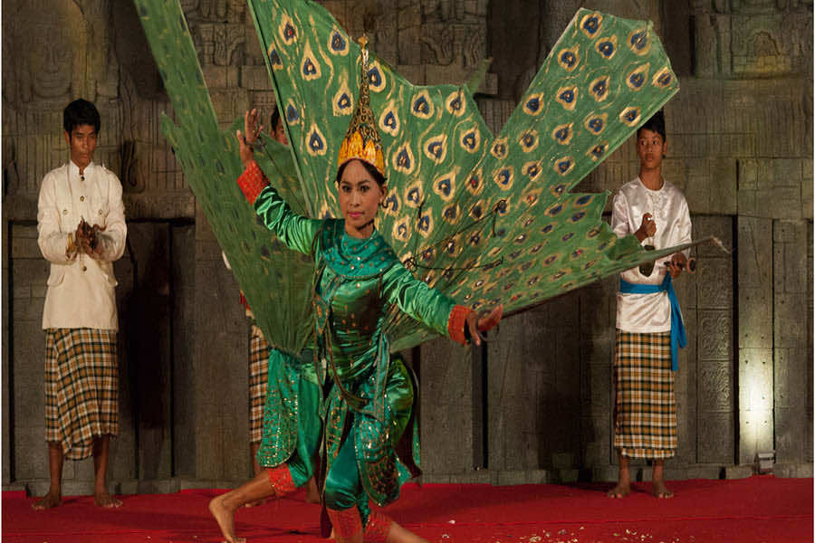 peacock
