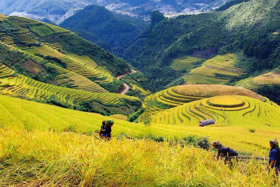 sapa lao cai vietnam 04