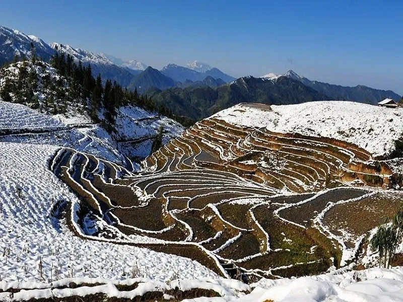 trekkingsapa.com