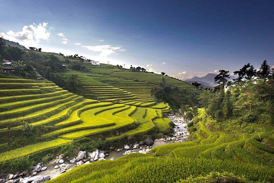 vietnam 3059538 640