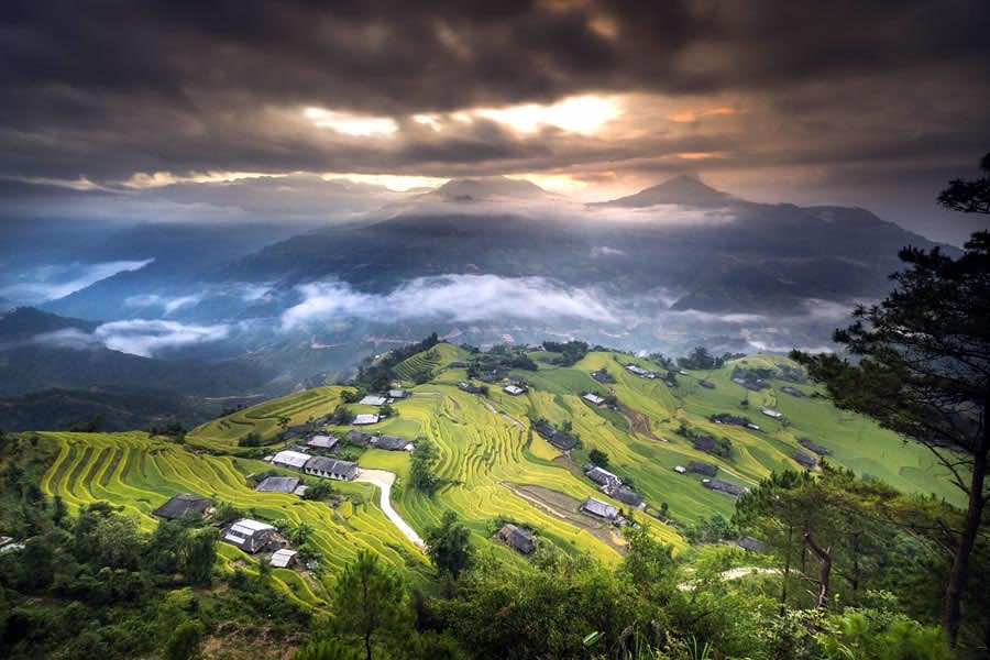 vietnam rice terrace hoang su phi